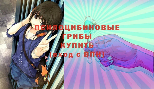 первитин Володарск