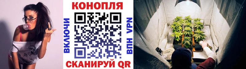 купить наркотики сайты  мориарти Telegram  Канабис THC 21%  Льгов 